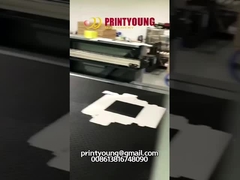 TCPP-1200 완전 자동 선물 상자 창문 부착기